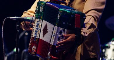 La Polka en el Noreste de México: Un Viaje de Europa a la Tradición Mexicana instrument-881191_640