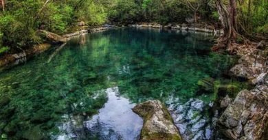 reserva-biosfera-el-cielo-01