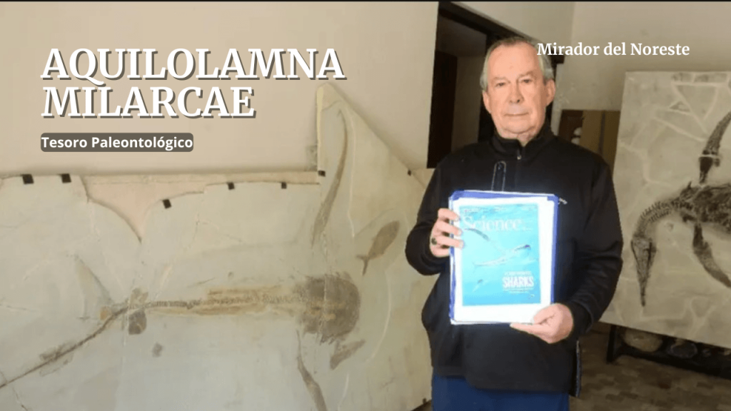 Aquilolamna milarcae