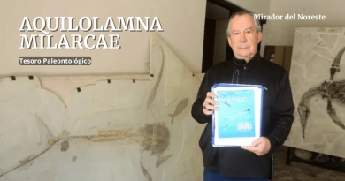 Aquilolamna milarcae, el tiburón alado de Nuevo León Aquilolamna milarcae