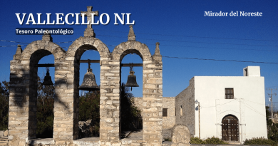 Vallecillo tesoro palontologia