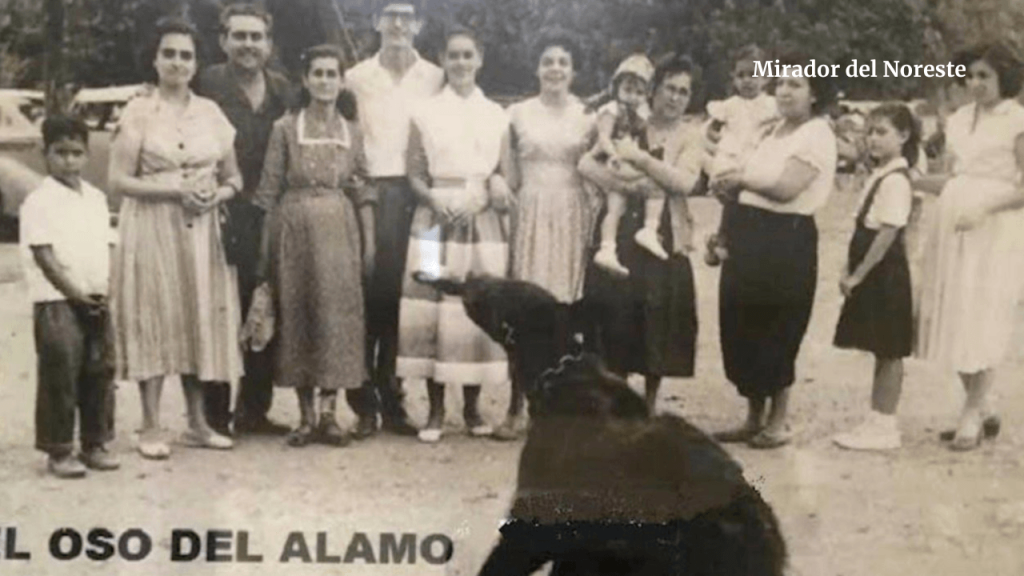 El Oso Chicho del Restaurant el Álamo
